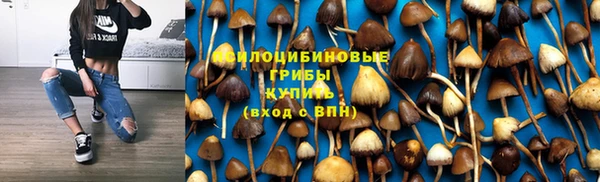 COCAINE Белокуриха